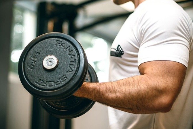 Optymalna długość mięśni wielostawowych w czasie ćwiczeń kluczem do ich szybkiego rozwoju