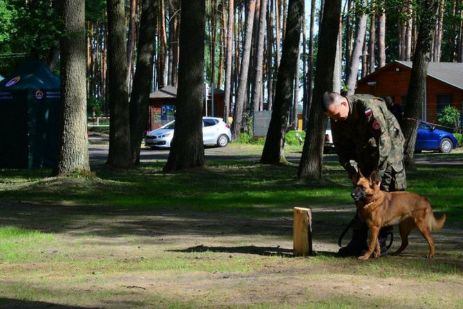 V zawody przewodników psów służbowych ŻW