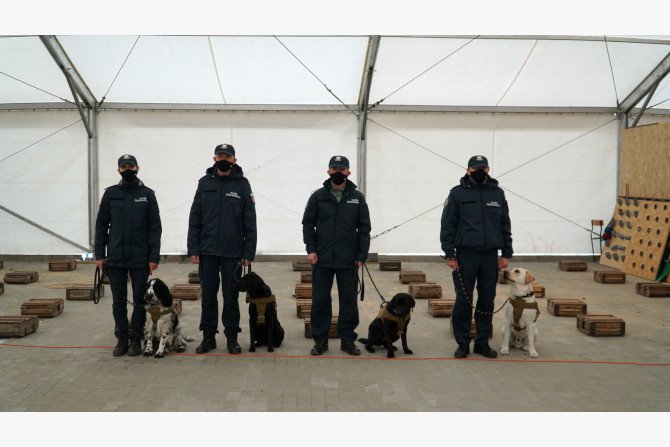 Psy służbowe KAS, jako pierwsze w Polsce pomogą w wykrywaniu COVID-19