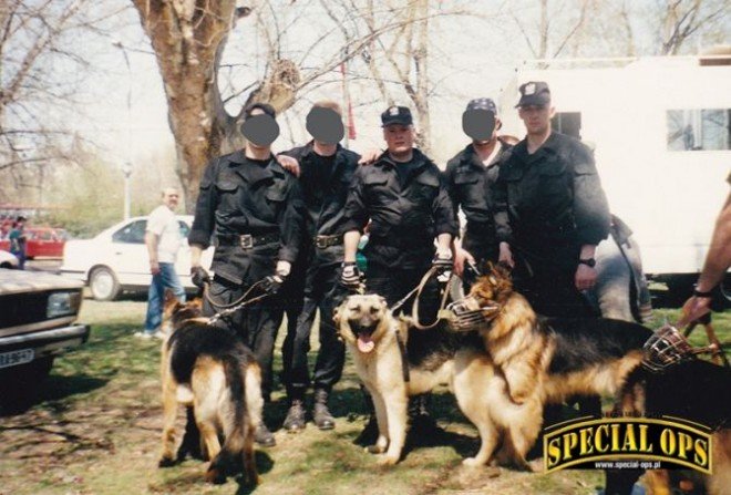 O początkach psów bojowych w polskiej policji
