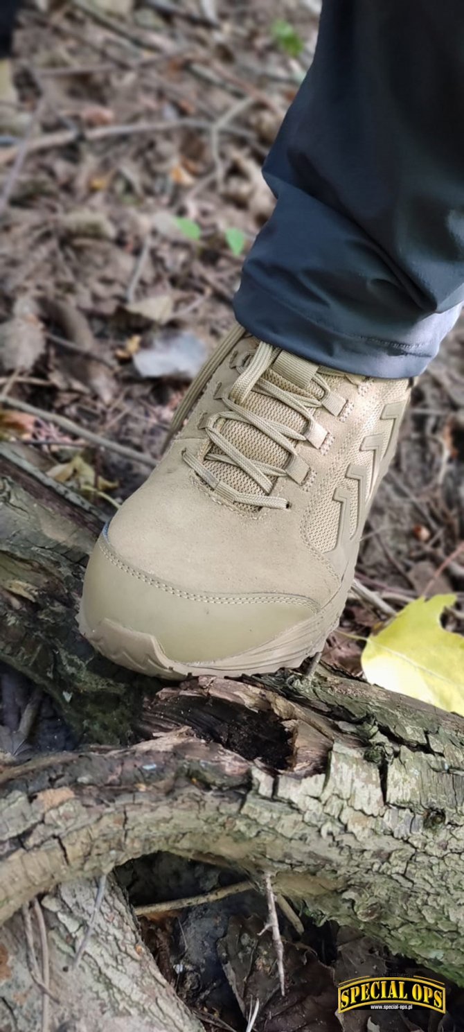 Black & Coyote - galeria