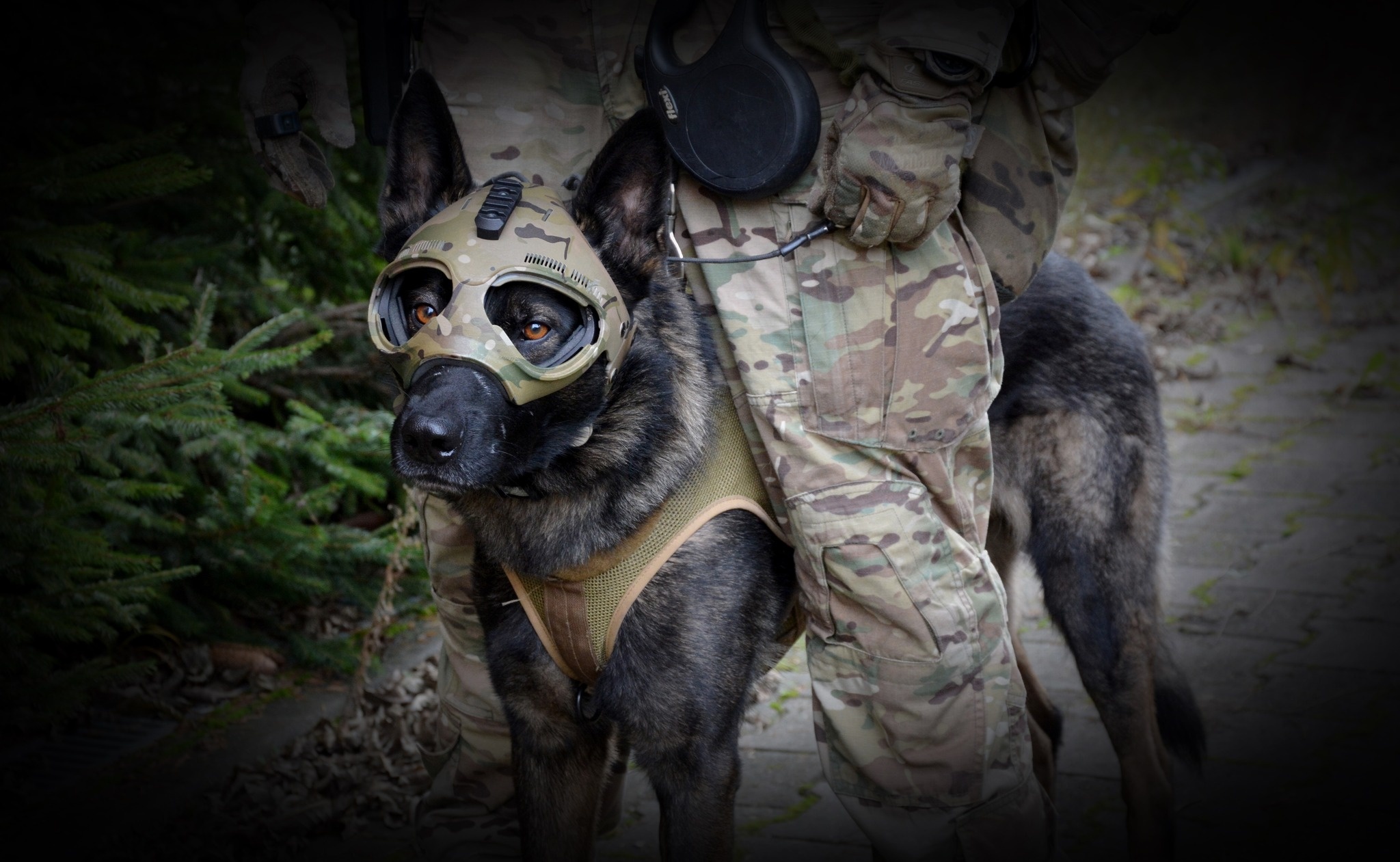 Sprzęt K9, który pracuje tak samo ciężko jak Twój pies »