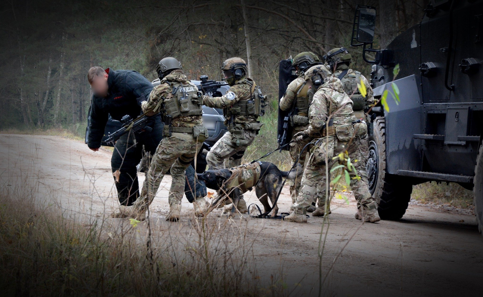 Szkolenie psów bojowych w Białymstoku - galeria