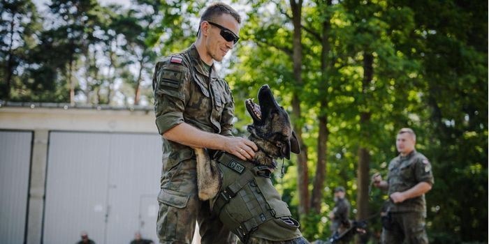 Stopnie wojskowe dla psów służących w Wojsku Polskim