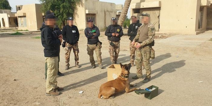 Szkolenie zespołów K9 w Iraku