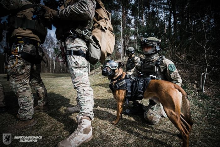 K9 KT - psy w jednostkach kontrterrorystycznych