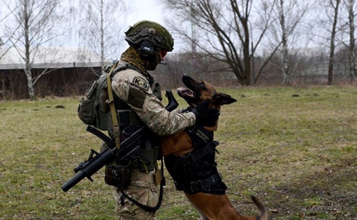 Dzień Psów Bojowych K9