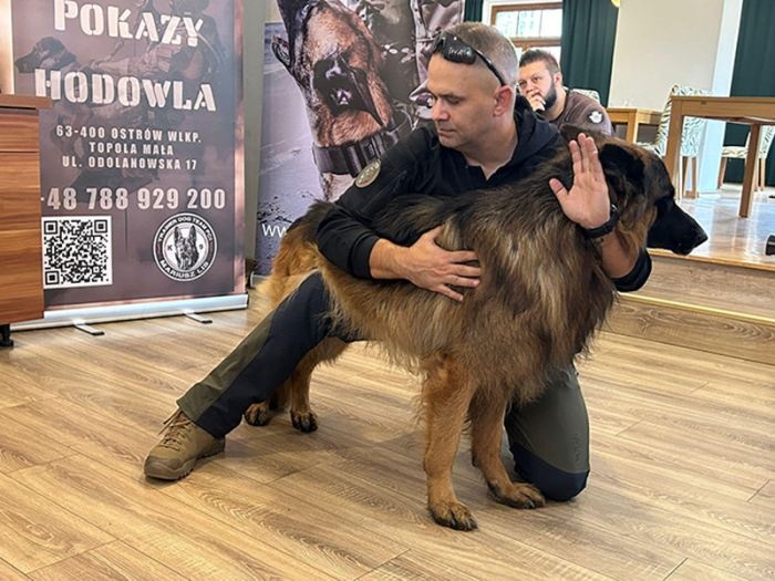 K9 First Aid w działaniach ratowniczych i taktycznych