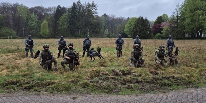 Polsko-holenderskie warsztaty psów bojowych