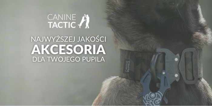 Gdy pies staje się operatorem