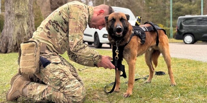 Międzynarodowe Warsztaty K9 NATO