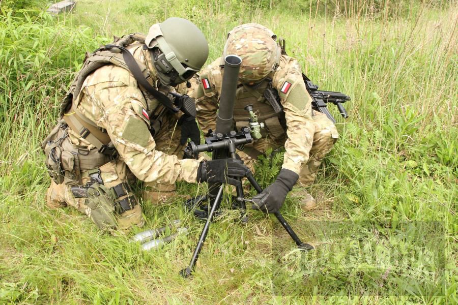 Zespół wsparcia bojowego wyposażony jest m.in. w broń stromotorową: polskie moździerze lekkie LM-60 D 
na amunicję kalibru 60 mm w krajowym standardzie (produkcji ZM Dezamet, odmienny od standardu NATO).
Zasięg od 70 do 2330 m, masa 19,3 kg, szybkostrz.