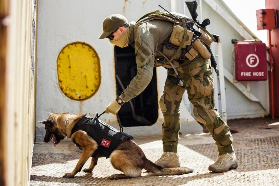 W składzie KJK znajdują się również przewodnicy z psami patrolowymi.