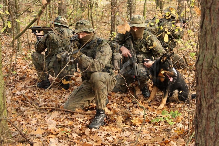 Wszystkie WZD przygotowane są nie tylko do działań specjalnych w terenie miejskim, ale również do zadań rozpoznawczych i zasadzkowych poza nim, prowadzonych najczęściej w pasie przygranicznym.