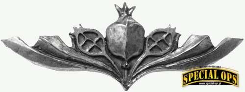 Emblemat Jednostki Sajeret Rimon (RIMON, czyli Granat)