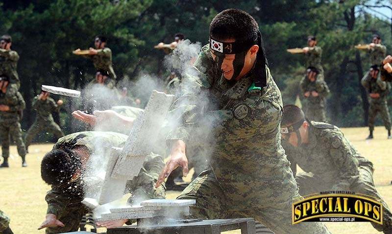 Tak jak i w innych azjatyckich formacjach specjalnych, dużo miejsca w szkoleniu jednostek ROKA SWC zajmuje trening walki wręcz - zarówno tradycyjnych (w tym publiczne pokazy mistrzostwa w TKD), jak i systemów bojowych, w każdych warunkach; fot. 2(6): ROK.