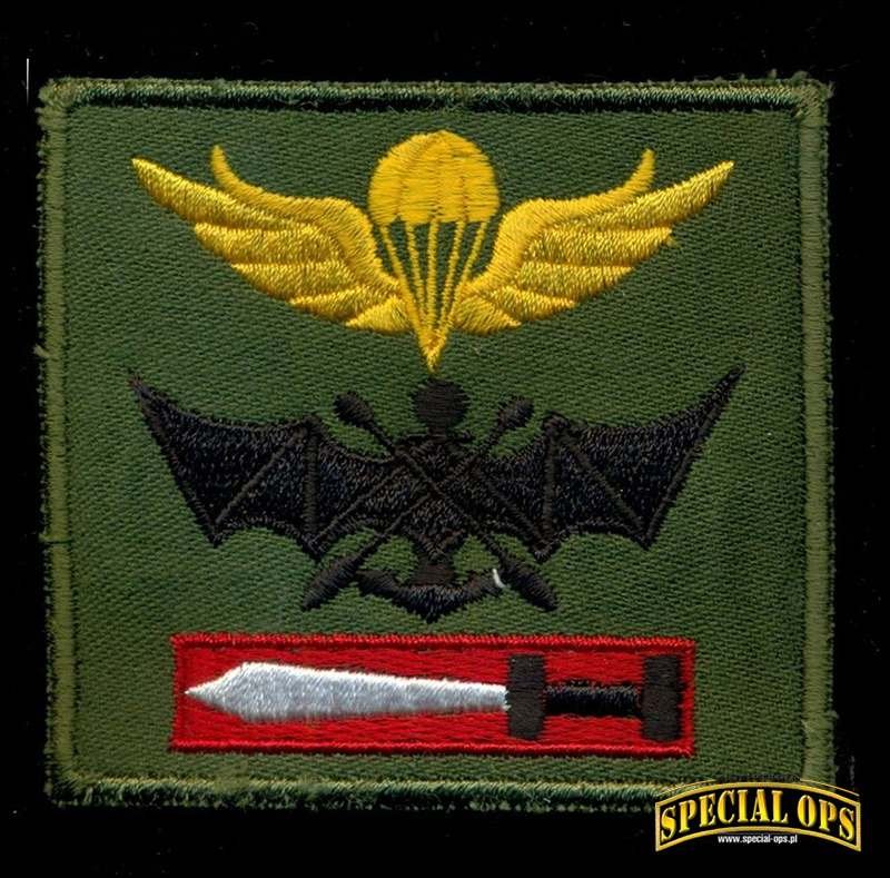 Odznaka przeszkolenia bojowego typu ranger,
spadochronowego i zwiadowczo-amfibijnego; fot.: ROK MND/ROK Army, Jeong Seung Ik
