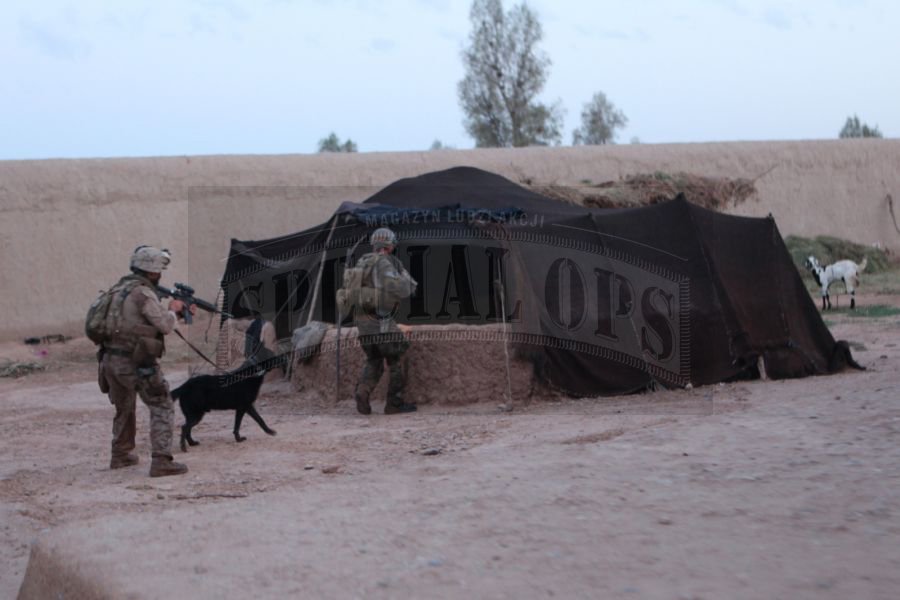 Podczas rajdów FAST DEA nieocenioną pomoc zapewniają m.in. przewodnicy psów z US Marine Corps i ich podopieczni, wyszkoleni do wyszukiwania ludzi i narkotyków.