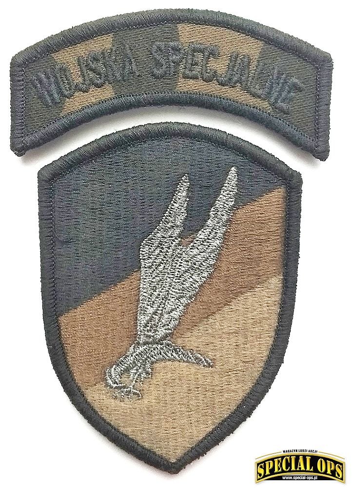 Oznaka Wojsk Specjalnych. Zdjęcie: Andrzej Krugler, DVIDS/Staff Sgt. Isaac Graham, 982nd Combat Camera Company Airborne