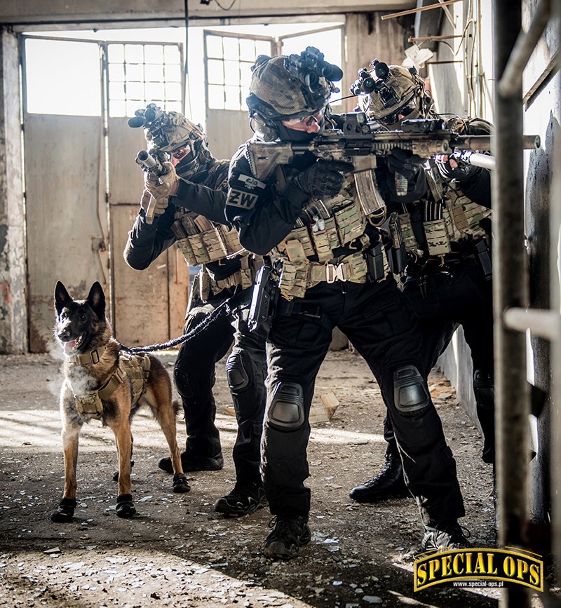 Pies bojowy w akcji (1). Zdjęcie: Bartosz Misiewicz