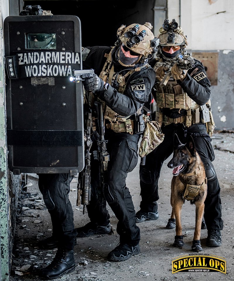 Pies bojowy Żandarmerii Wojskowej w akcji