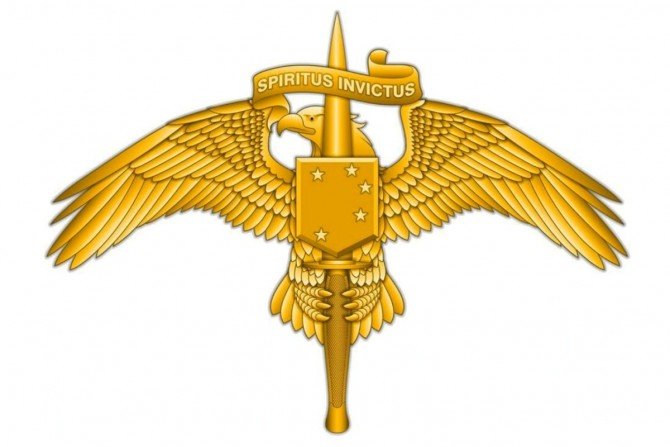 Swoimi elementami, nowa odznaka nawiązuje m.in. do historii USMC. Fot. americanmilitarynews.com
&nbsp;