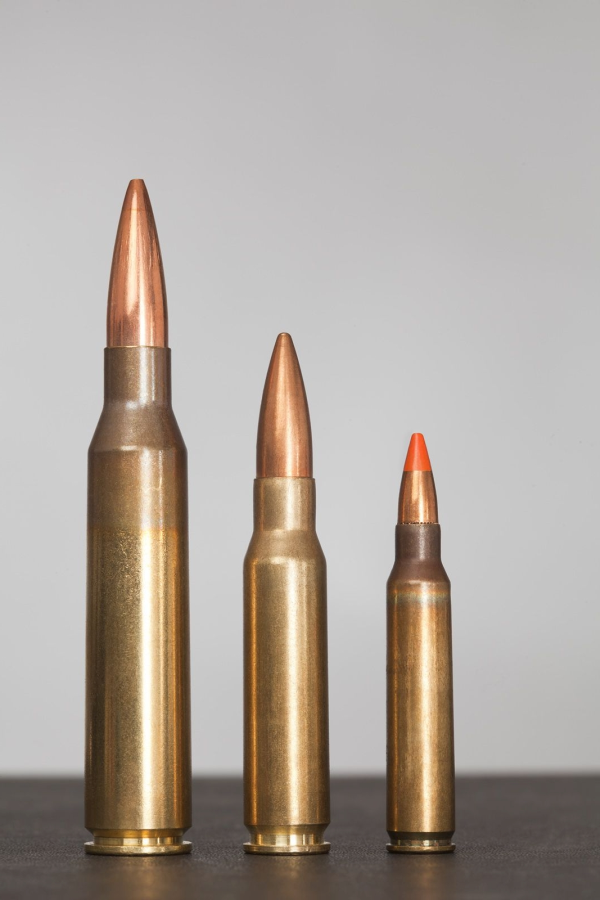 Porównanie wielkości nabojów, od lewej: .338 LM, 7,62 mm NATO i 5,56 mm NATO.