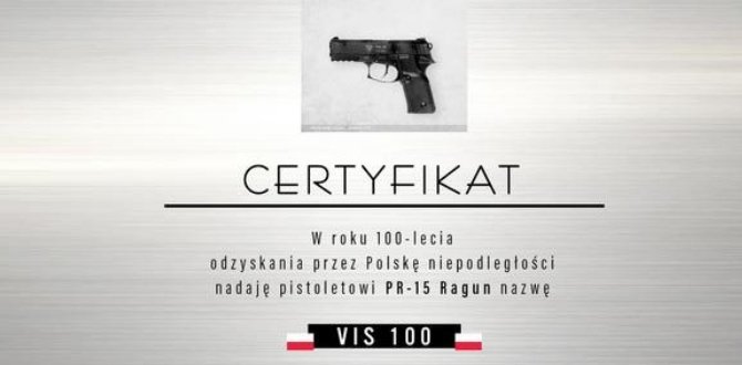 20 tys. 9-mm pistolet&oacute;w samopowtarzalnych VIS 100 wkr&oacute;tce zasili wyposażenie Wojska Polskiego Fot. mon.gov.pl
&nbsp;