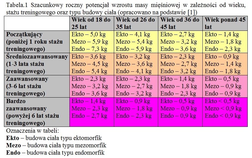 Tabela.1 Szacunkowy roczny potencjał wzrostu masy mięśniowej w zależności od wieku, stażu treningowego oraz typu budowy ciała (opracowano na podstawie [1]). Oznaczenia w tabeli:
Ekto – budowa ciała typu ektomorfik
Mezo – budowa ciała typu mezomorfik
E.