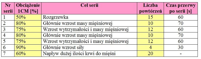 Tabela 2. Szablon serii – wariant alternatywny dla średnio zaawansowanych.