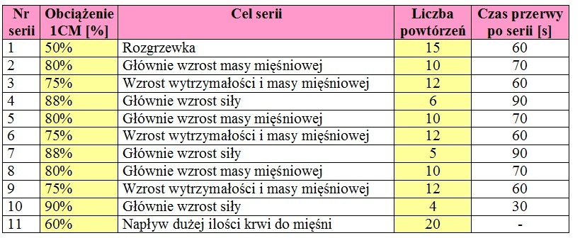 Tabela 4. Szablon serii – wariant alternatywny dla zaawansowanych.