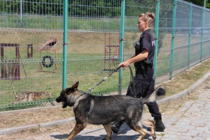 Kynologiczne zawody psów służbowych dolnośląskiej Policji