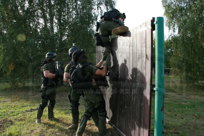 PARAMEDYK 2011