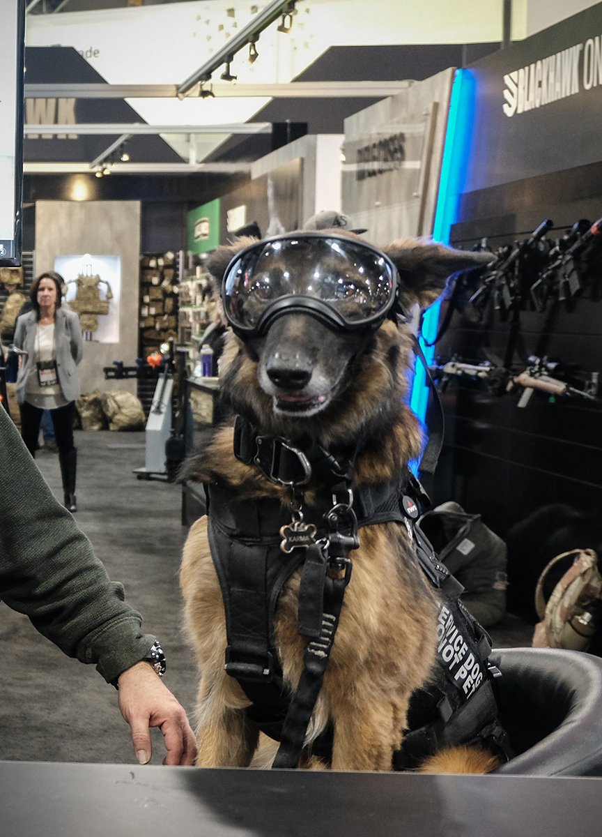 Shot Show 2020