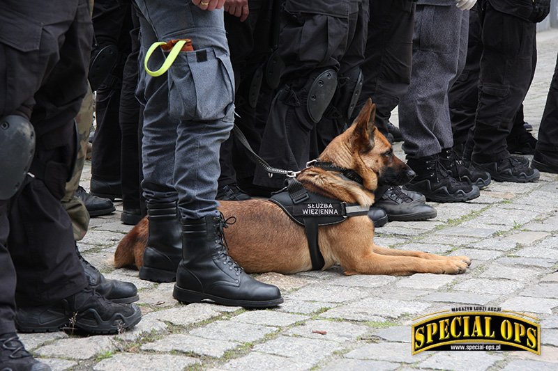 Mistrzostwa Służby Więziennej w Technikach Interwencyjnych i Samoobronie & Tactical Prison Rescue 2016.