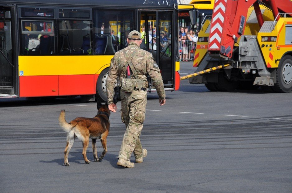 Wydział Działań Specjalnych OSŻW w Warszawie - pokaz dynamiczny podczas Dni Transportu Publicznego.