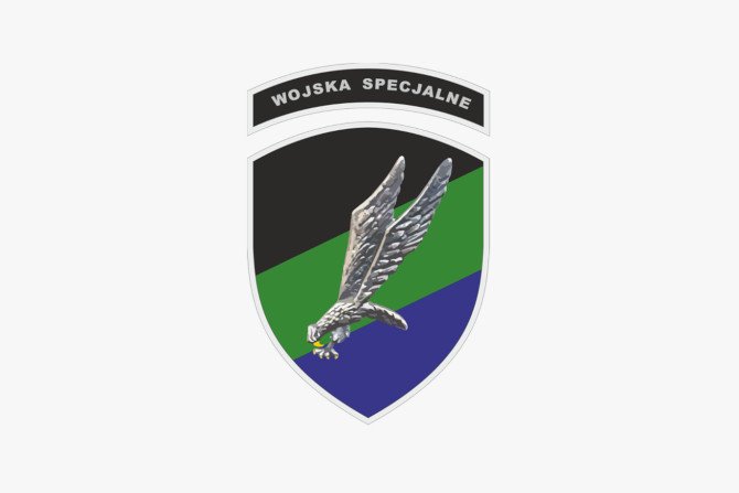 Logo Wojsk Specjalnych
Fot. Źr&oacute;dło: DKWS