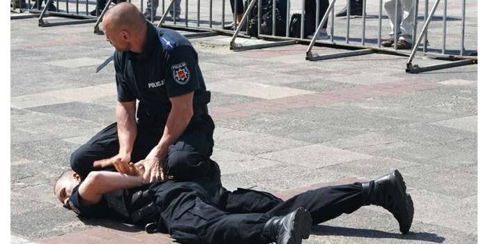 W programie drugiego dnia IV TLSM, pod hasłem „Na ratunek”, odbył się m.in. pokaz dynamiczny obezwładniania przestępcy.