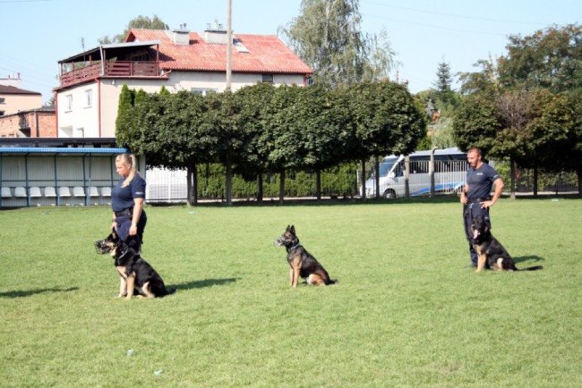 pokaz psów policyjnych na zawodach "Ogień na ogień"