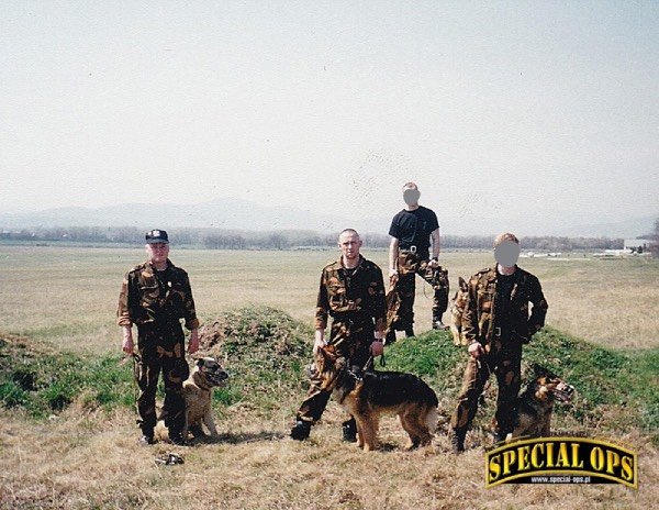 archiwalne zdjęcie policjantów z psami bojowymi