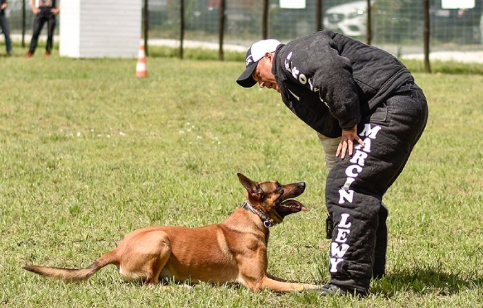 zespół K9