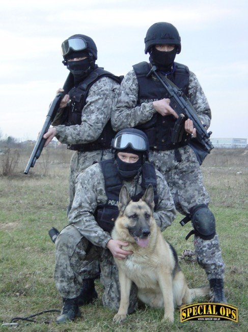 funkcjonariusze policji z psem bojowym