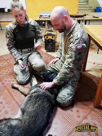 k9 tc3 6