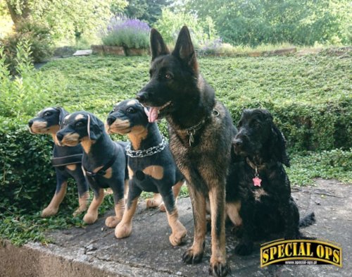 k9 tc3 7