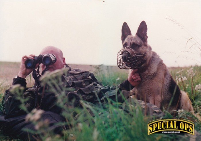 żołnierz i pies bojowy