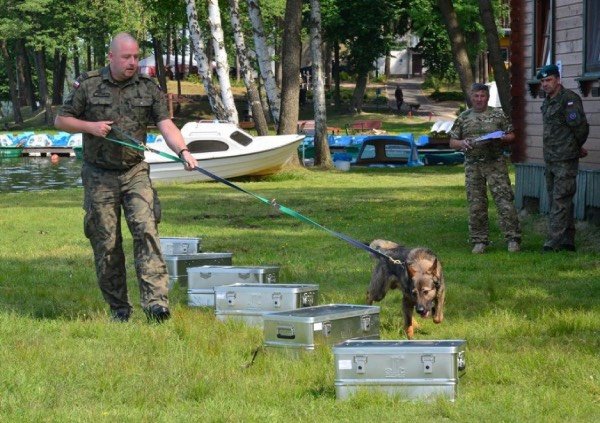 żołnierz z psem biorący udział w konkurencji węchowej