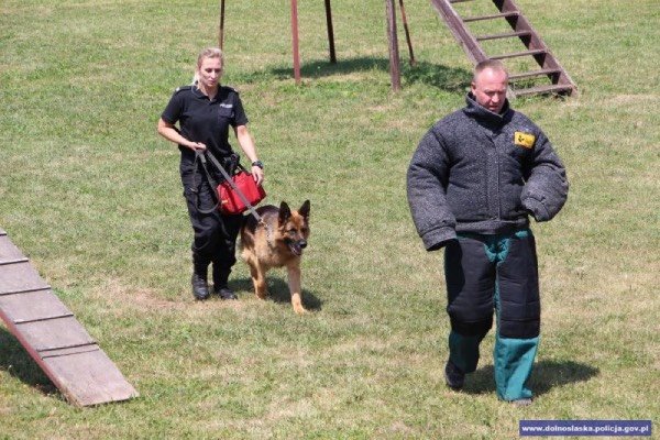 policjantka z psem na zawodach