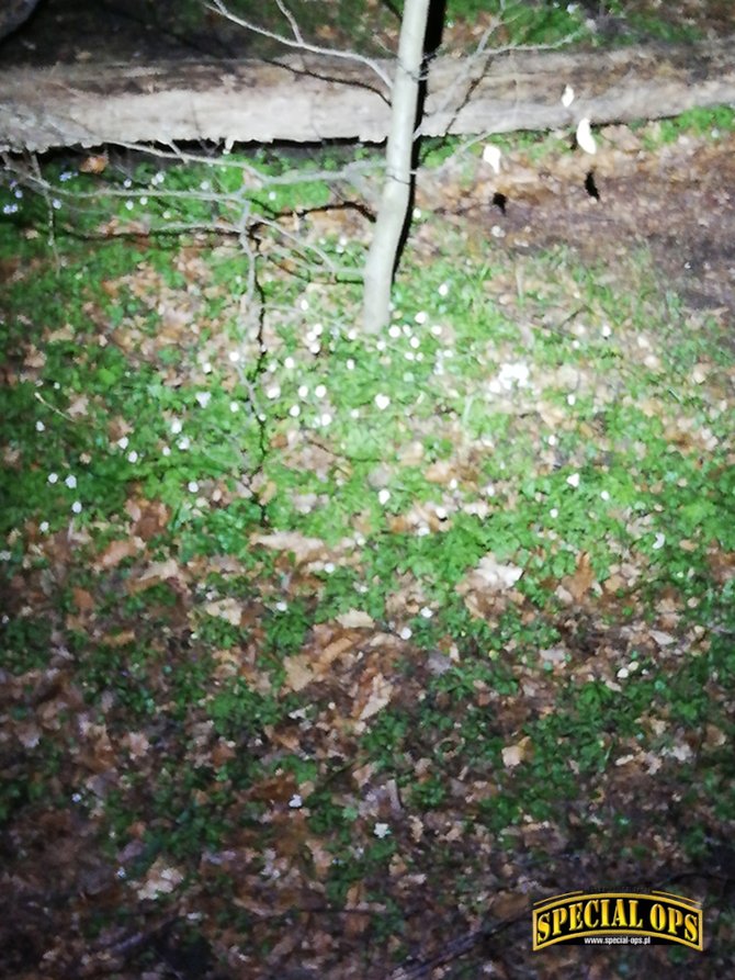 Okrąg wiązki światła latatki Fenix HM70R