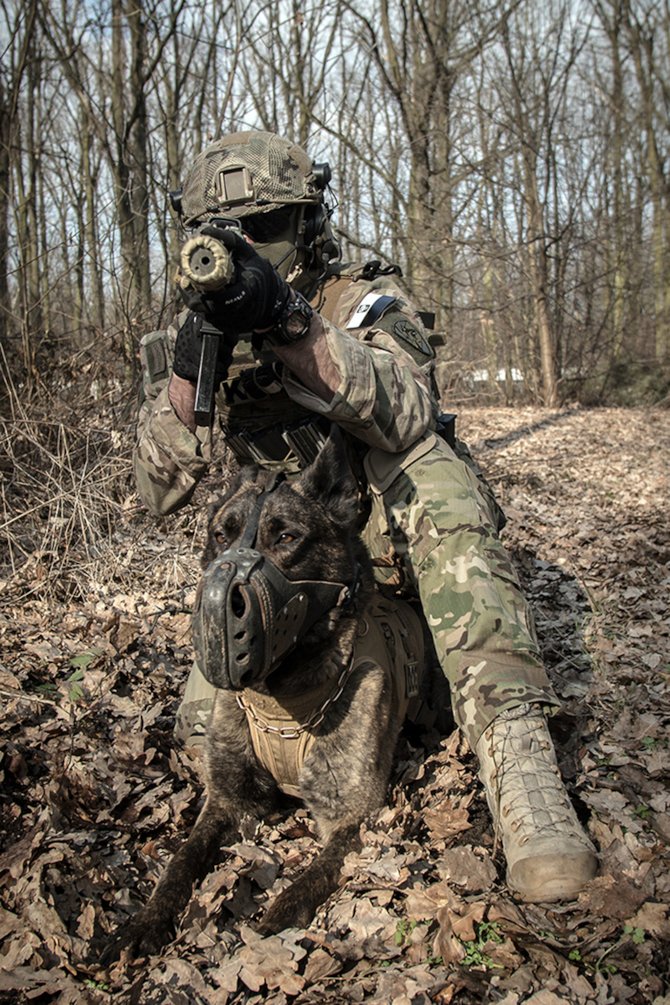 Żołnież WS z psem bojowym