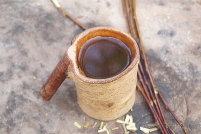 Herbata z kory wierzby lecząca zatrucie pokarmowe